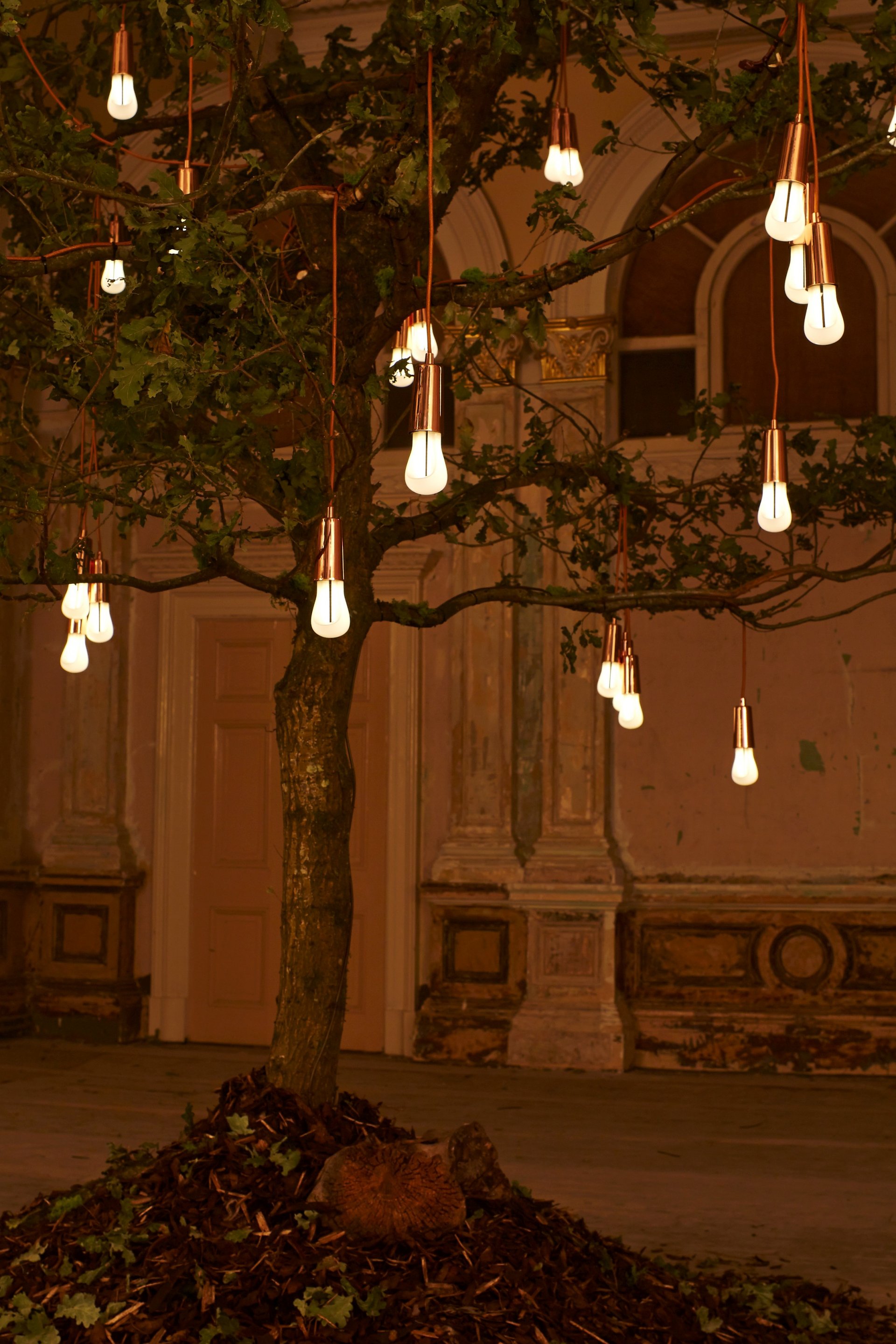 Plumen-Glowing-Oak-installation-at-Designersblock-2014-3 Glowing Oak Hulger